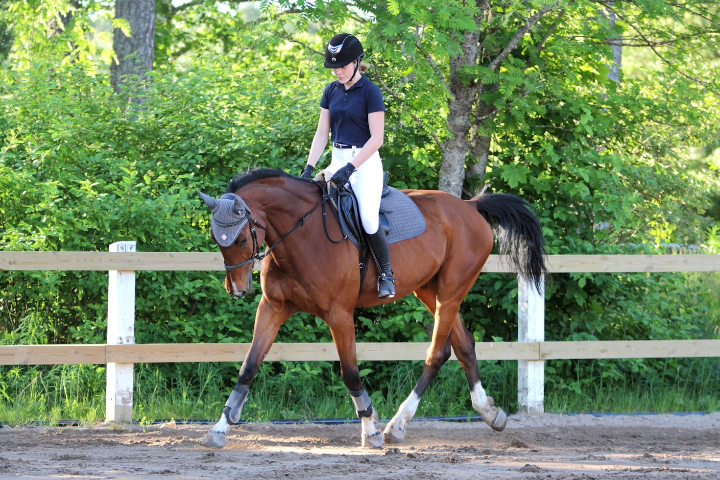 Fostering a Deeper Connection with Your Horse