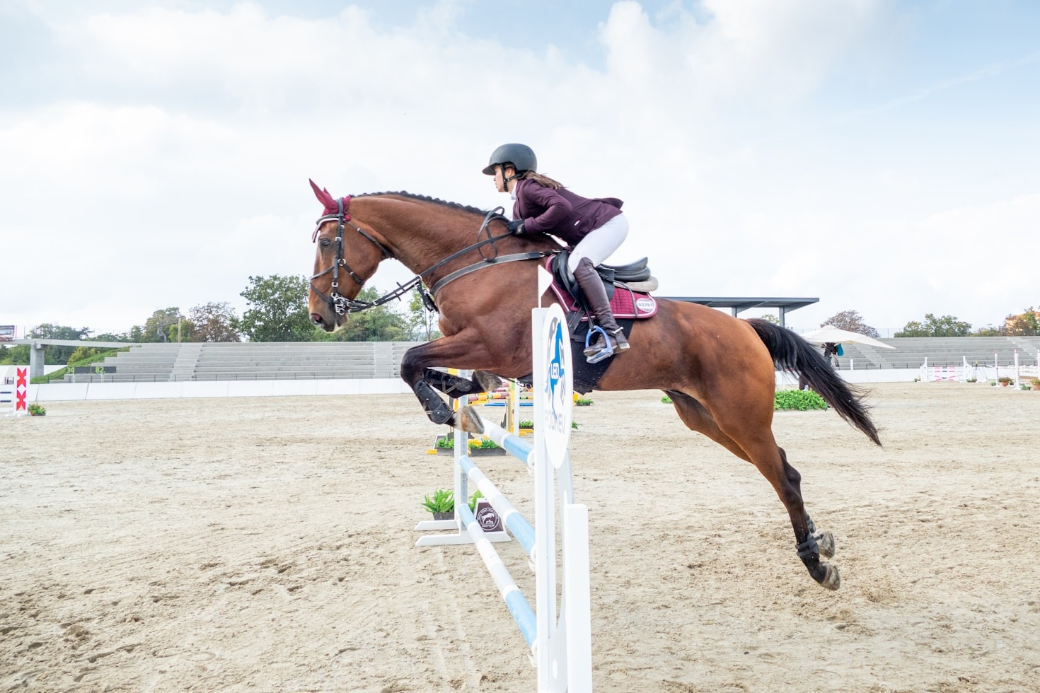 The Role of Dressage in Modern Horsemanship
