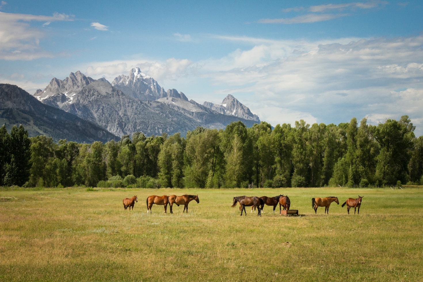 Top Tips for Eco-Friendly Riding Practices